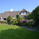 Strandnelke